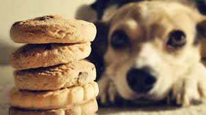 images (12)