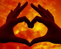 images (13)