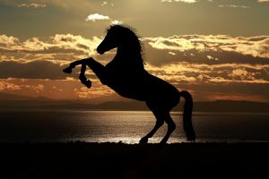 How to manifest our deepest desires